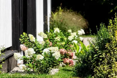 a garden of flowers in front of a house at Pušyno apartamentai in Druskininkai