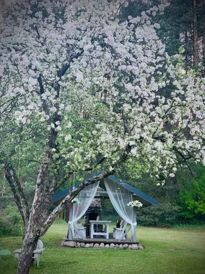 a gazebo under a tree with flowers on it at Pušyno apartamentai in Druskininkai