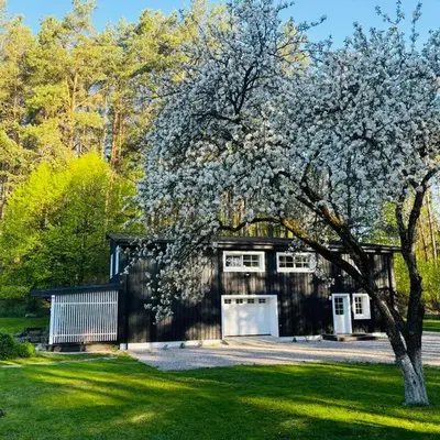 Pušyno apartamentai