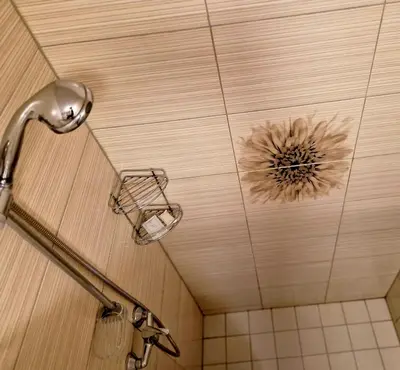 a ceiling in a shower with a flower on it at Linos Apartamentai in Druskininkai