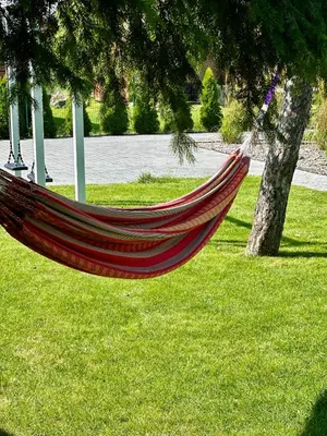 a hammock hanging from a tree in a park at Poeto Namas Art in Anykščiai