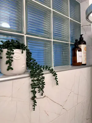 a plant sitting on a counter next to a window at AL Apartment, Central & Cozy in Panevėžys