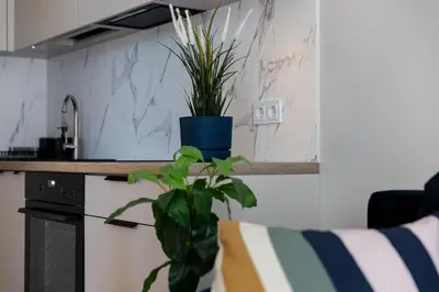 a plant sitting on a counter in a kitchen at Amber Apartment Free Parking - Self Check In in Vilnius