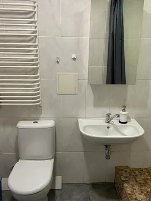 a bathroom with a toilet and a sink at White apartment in Druskininkai