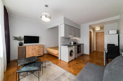 a living room with a couch and a kitchen at Fox studio apartment in Šiauliai