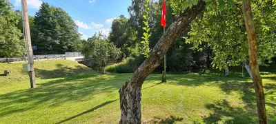 a tree with a red ribbon on it in a park at Sodyba Lakaja Sky in Lakaja