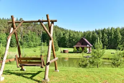 a swing in a field next to a lake at Pundeliškių sodyba in Šalčininkai