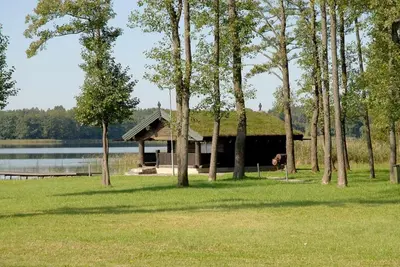 a building with a grass roof with a dog in a field at Dvarčėnų dvaras in Dvarčėnai