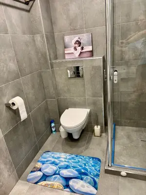 a bathroom with a shower with a toilet and a rug at Eliana Apartments in Druskininkai