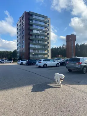 a white dog walking in a parking lot with a building at Eliana Apartments in Druskininkai