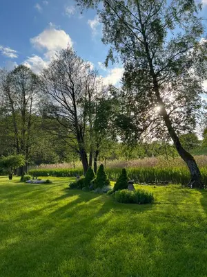 a grassy field with trees and bushes in a park at Stripeikių Bitė in Varniškės I