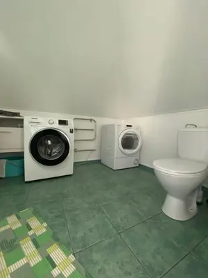 a bathroom with a washing machine and a toilet at „Sėlių Studio“ Apartamentai in Utena