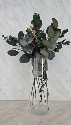 a glass vase with a bunch of plants in it at Aquapartment Druskininkai in Druskininkai