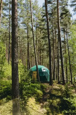 a green tent in the middle of a forest at Asalnai Campsite in Ignalina