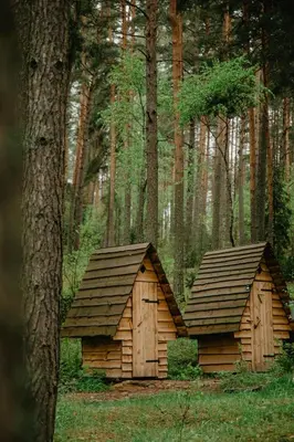 two wooden buildings in the middle of a forest at Asalnai Campsite in Ignalina