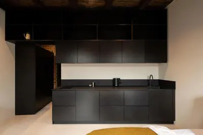 a kitchen with black cabinets and a sink at Hortus Vilnius in Vilnius