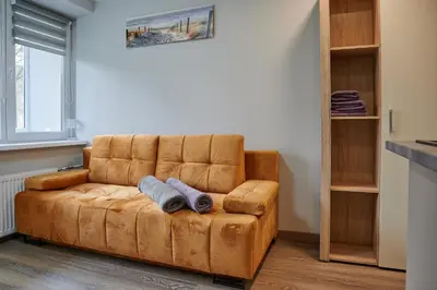a brown couch sitting in a living room with two towels at Studio COZY VISIT, balcony, 24h self check-in, first floor, great location in Kaunas