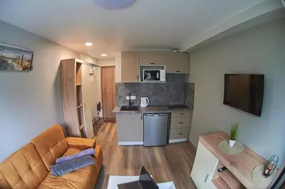 a living room with a couch and a kitchen at Studio COZY VISIT, balcony, 24h self check-in, first floor, great location in Kaunas