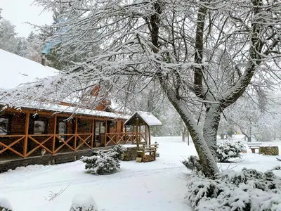 a wooden cabin in the snow with snow covered trees at Sodyba Duburiai in Ukmergė