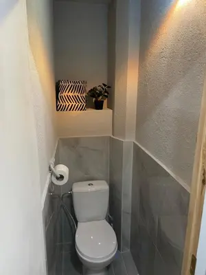a bathroom with a toilet and a plant on a shelf at Comfort home Šiauliai in Šiauliai