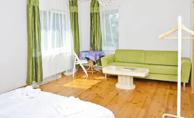 a living room with a green couch and a table at Irena Family House in Vilnius