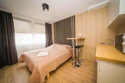 a hospital room with a bed and a window at Vilnius Tiny apartments in Vilnius