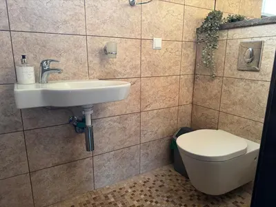 a bathroom with a sink and a toilet at Trakų Namelis in Trakai
