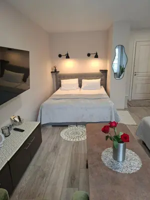 a bedroom with a bed and a living room at Apartamentai Auris in Druskininkai