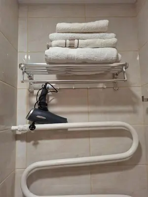 a bathroom with a towel rack and towels at Apartamentai Auris in Druskininkai