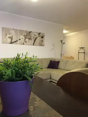 a living room with a couch and a potted plant at Šaulys1 in Druskininkai