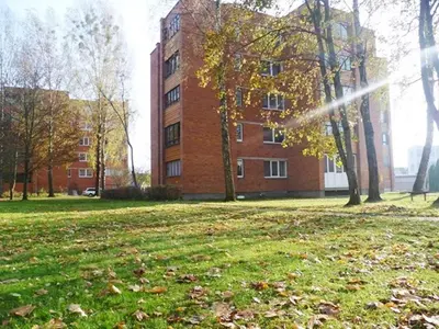 a building in a field with leaves in front of a building at Šaulys1 in Druskininkai