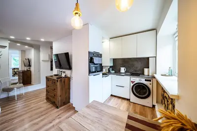 a kitchen with a washer and dryer in a room at Hugo apartment in Šiauliai