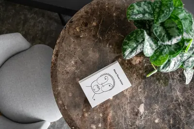a table with a plant and a card on it at Harmony Birštonas in Birštonas