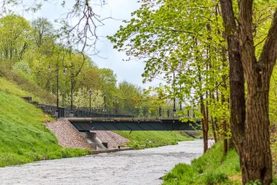 a bridge over a river in a park at Cozy Japanese Oasis with Balcony, Gramophone, Netflix in Vilnius