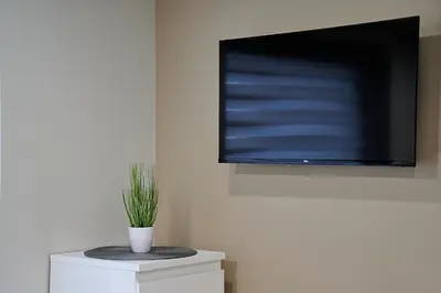 a flat screen tv on a wall with a potted plant at Great location STUDIO1 on the first floor, 24h self check-in in Kaunas