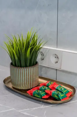 a plant in a vase on a tray in a kitchen at Grey Apartments in Šiauliai