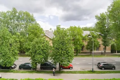 a person standing next to a street with trees and cars at Hidden gem apartment In 10min everywhere in Vilnius