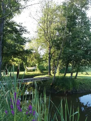 a park with a pond and trees and flowers at Žalčio guolis in Lekėčiai