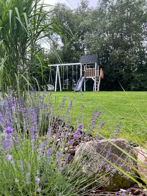 a garden with a playground and purple flowers at Žalčio guolis in Lekėčiai