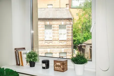 a window sill with books and potted plants on it at Cozy Loft next to Main Station in Kaunas
