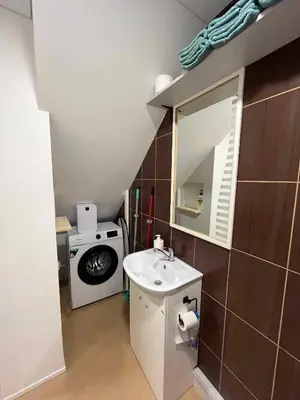 a bathroom with a sink and a washing machine at Svečių namelis in Kaunas