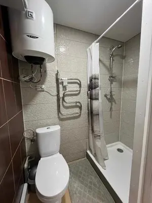 a small bathroom with a toilet and a shower at Svečių namelis in Kaunas