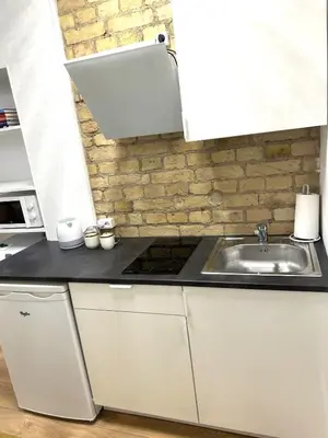 a kitchen with a sink and a counter top at Green Bridge Studio in Vilnius