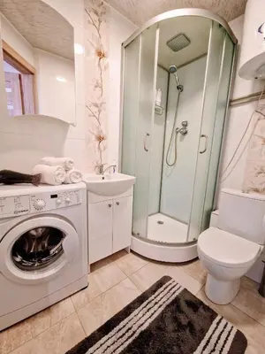 a bathroom with a washing machine and a shower at Butas šalia parko in Radviliškis
