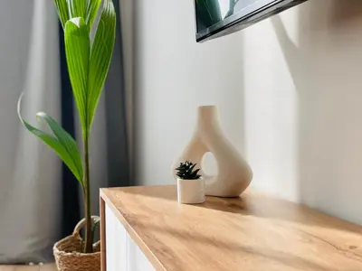 a table with two plants and a vase on it at LilHouse Apartment in Siauliai Center in Šiauliai