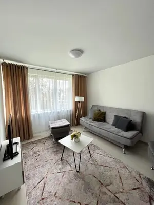 a living room with a couch and a table at Radvilų apartamentai in Radviliškis