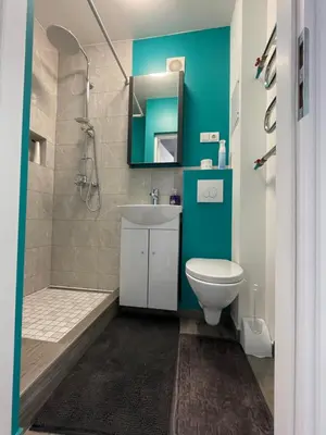 a bathroom with a toilet and a sink and a shower at Radvilų apartamentai in Radviliškis