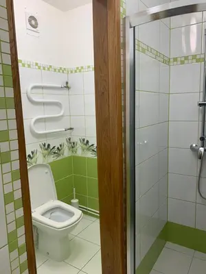 a bathroom with a toilet and a shower at Green House in Ramučiai