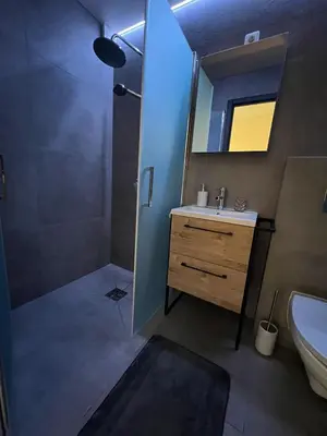 a bathroom with a sink and a shower with a mirror at Gabriel in Šveicarija
