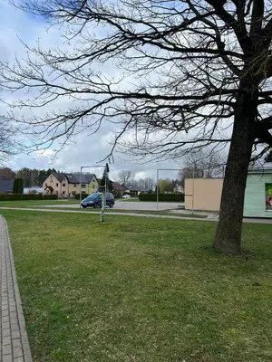 a tree in a park next to a street at Gabriel in Šveicarija